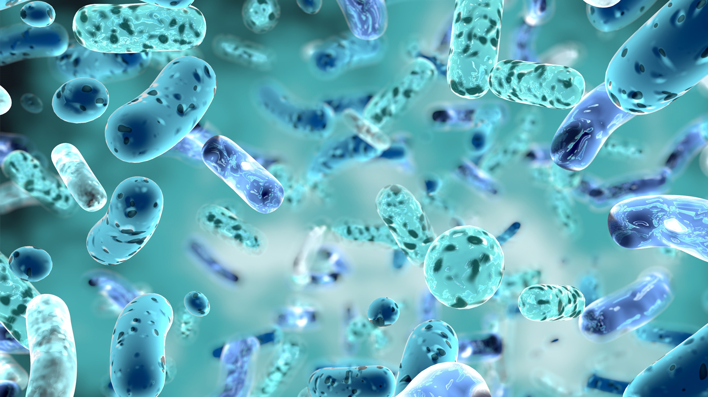 Darmflora: Wie sie das Immunsystem auf Trab bringt Darmflora: Illustration von kugel- und stäbchenförmigen Bakterien in blau-grünen Tönen.