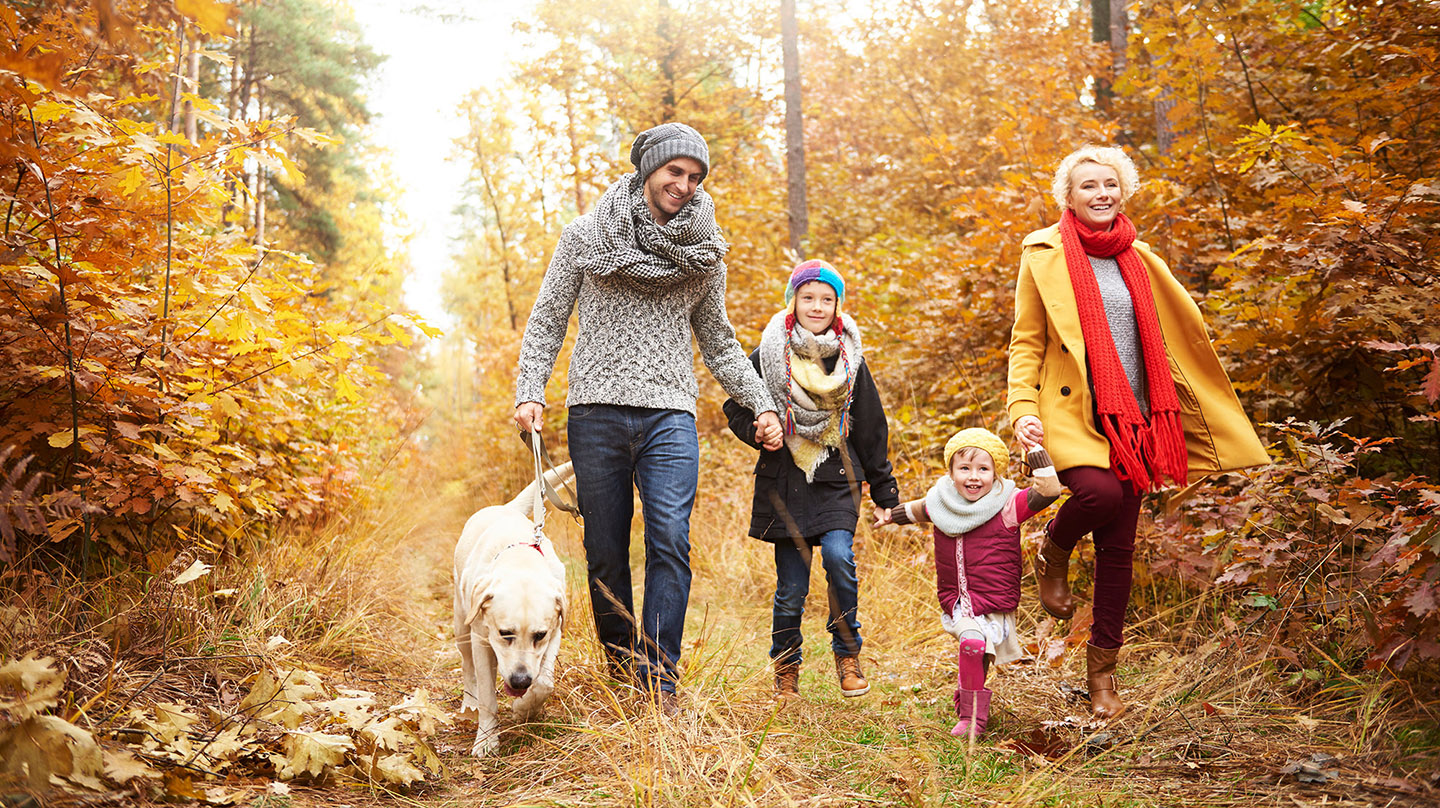 Herbstblues: Junge Familie mit zwei kleinen Kindern und Hund spazieren gut gelaunt durch den Herbstwald. Herbstblues: Junge Familie mit zwei kleinen Kindern und Hund spazieren gut gelaunt durch den Herbstwald.